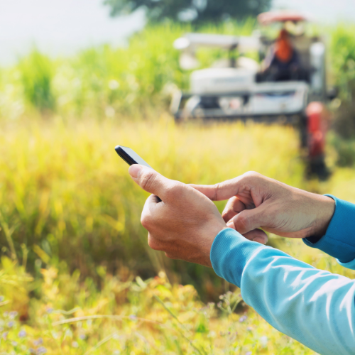 Farmer on a cellphone