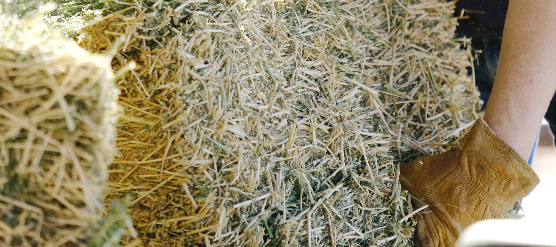 Hay bales being carried